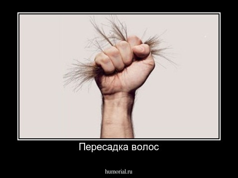 Пересадка волос