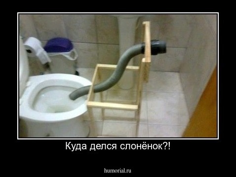  Куда делся слонёнок?!