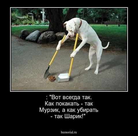  : "Вот всегда так. Как покакать - так Мурзик, а как убирать - так Шарик!"