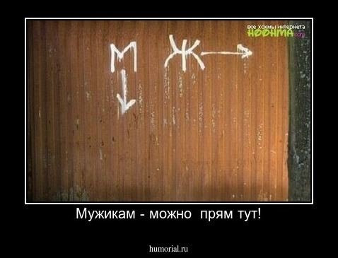 Мужикам - можно  прям тут!