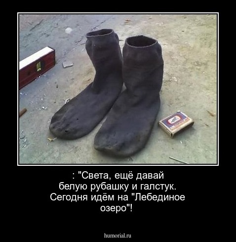  : "Света, ещё давай белую рубашку и галстук. Сегодня идём на "Лебединое озеро"!
