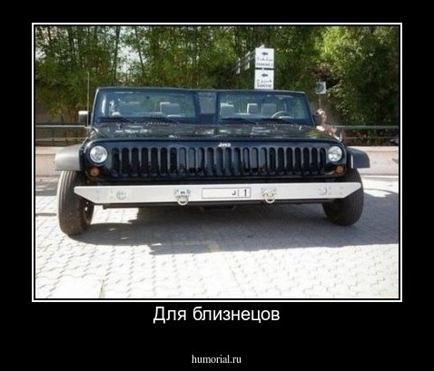Для близнецов