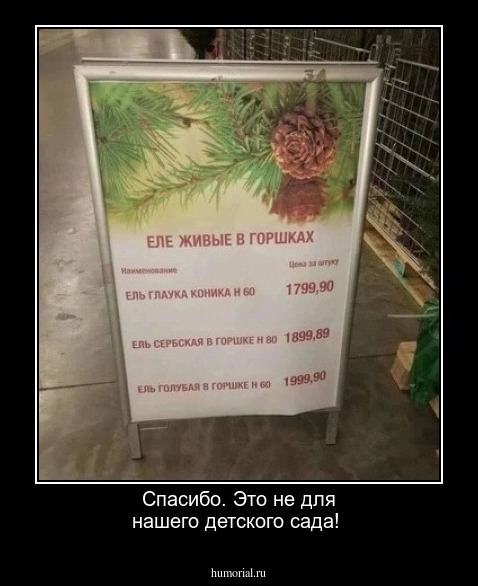 Спасибо. Это не для нашего детского сада!