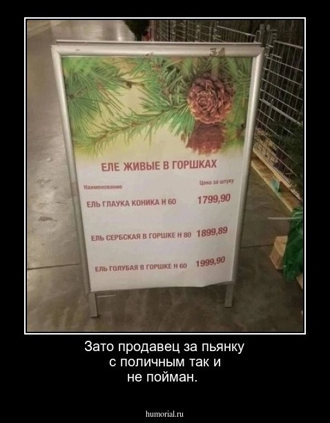 Зато продавец за пьянку с поличным так и не пойман.