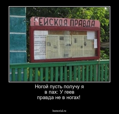  Ногой пусть получу я в пах: У геев правда не в ногах!
