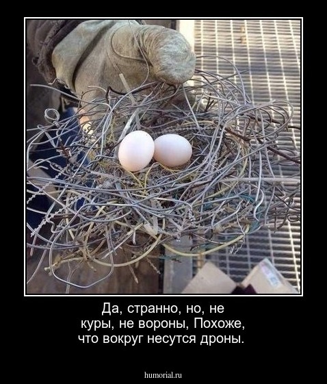 Да, странно, но, не куры, не вороны,
Похоже, что вокруг несутся дроны.