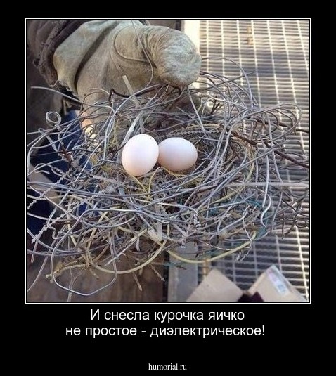 И снесла курочка яичко не простое - диэлектрическое!