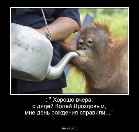  : " Хорошо вчера, с дядей Колей Дроздовым, мне день рождения справили..."