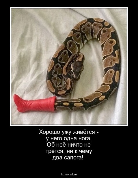 Хорошо ужу живётся - у него одна нога. Об неё ничто не трётся, ни к чему два сапога!