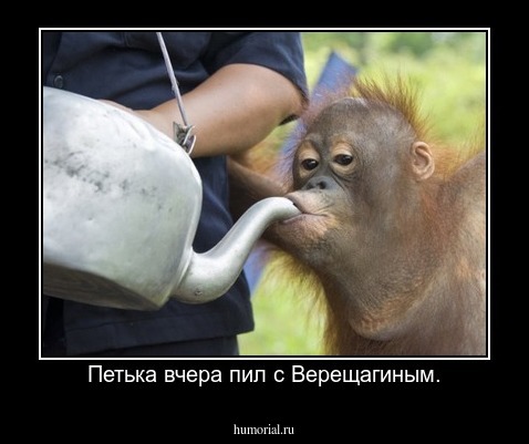 Петька вчера пил с Верещагиным.