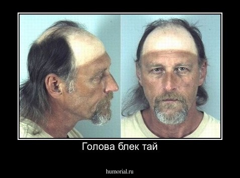 Голова блек тай