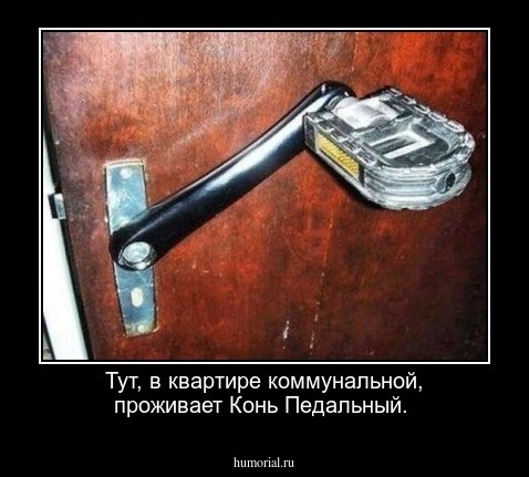  Тут, в квартире коммунальной, проживает Конь Педальный.