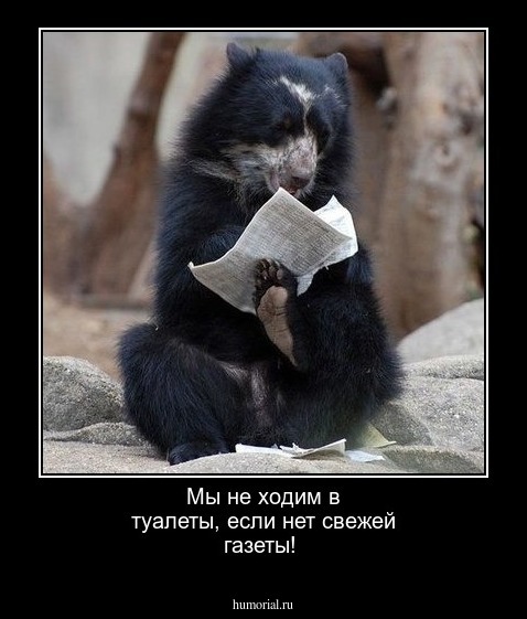  Мы не ходим в туалеты, если нет свежей газеты!