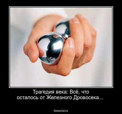 Трагедия века:  Всё, что осталось от Железного Дровосека...