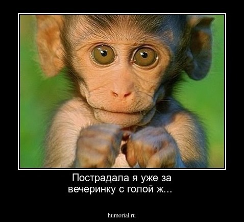 Пострадала я уже за вечеринку с голой ж...