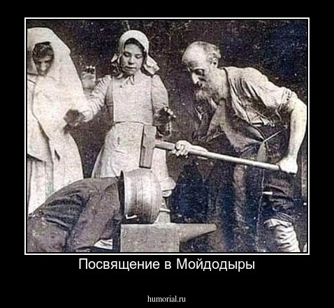 Посвящение в Мойдодыры
