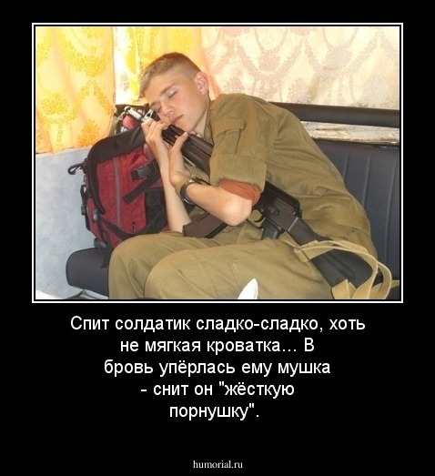 Спит солдатик сладко-сладко, хоть не мягкая кроватка... В бровь упёрлась ему мушка - снит он "жёсткую порнушку".