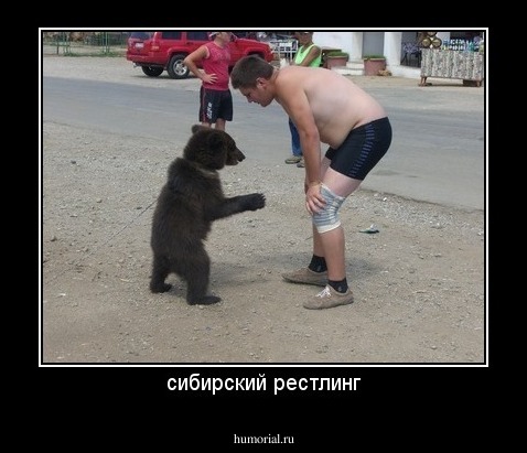 сибирский рестлинг