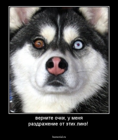 верните очки, у меня раздражение от этих линз!