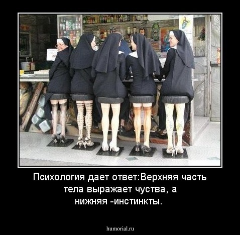 Психология дает ответ:Верхняя часть тела выражает чуства, а нижняя  -инстинкты.