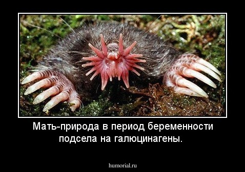 Мать-природа в период беременности подсела на галюцинагены.