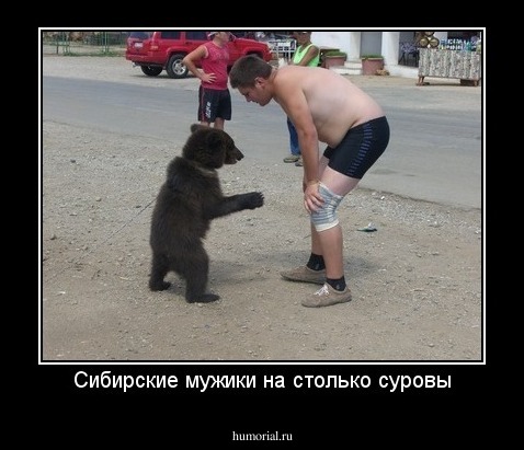 Сибирские мужики на столько суровы