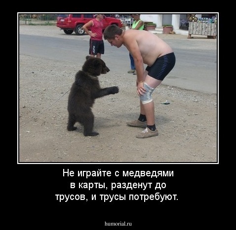 Не играйте с медведями в карты, разденут до трусов, и трусы потребуют. 