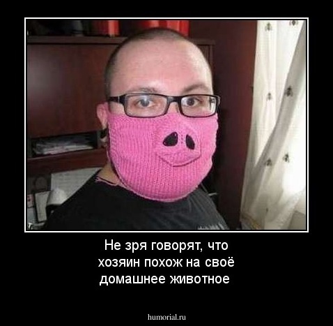 Не зря говорят, что хозяин похож на своё домашнее животное