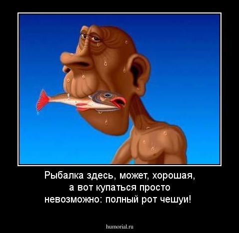 Рыбалка здесь, может, хорошая, а вот купаться просто невозможно:  полный рот чешуи!