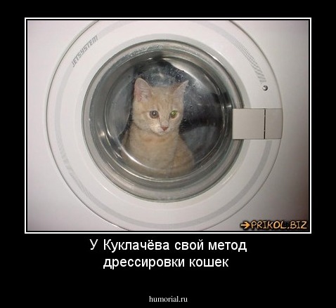 У Куклачёва свой метод дрессировки кошек