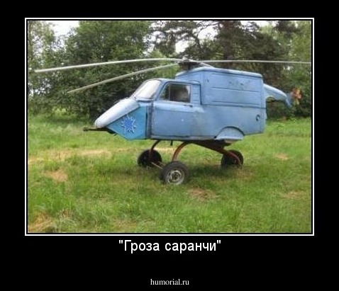 "Гроза саранчи"