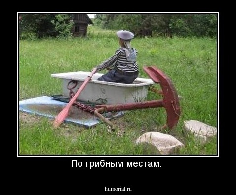 По грибным местам. 