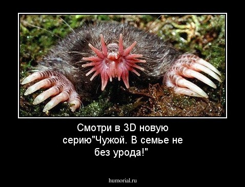 Смотри в 3D новую серию"Чужой. В семье не без урода!"