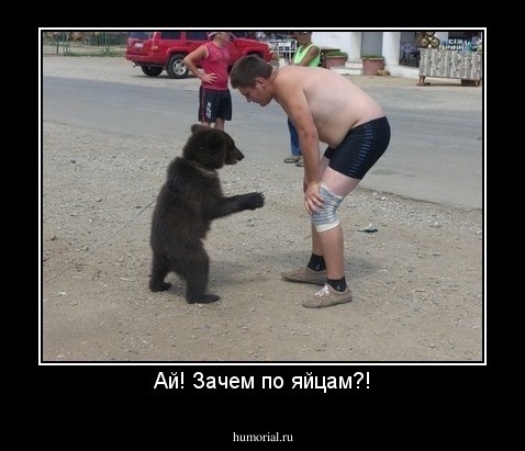 Ай! Зачем по яйцам?!