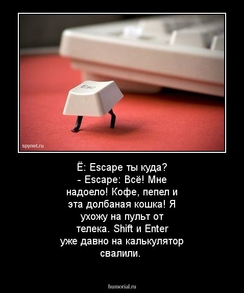 Ё: Escape ты куда?
- Escape: Всё! Мне надоело! Кофе, пепел и эта долбаная кошка! Я ухожу на пульт от телека. Shift и Enter уже давно на калькулятор свалили.