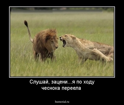 Слушай, зацени...я по ходу чеснока переела