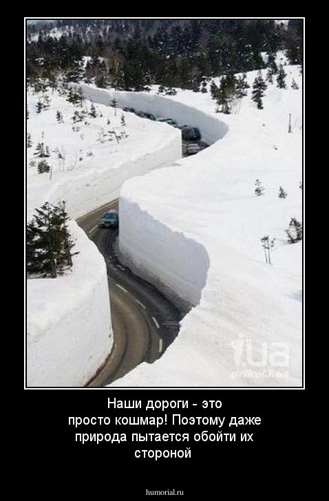 Наши дороги - это просто кошмар! Поэтому даже природа пытается обойти их стороной