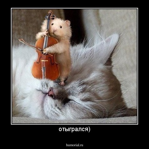 отыгрался)