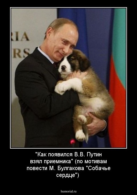 "Как появился В.В. Путин взял приемника" (по мотивам повести М. Булгакова "Собачье сердце")