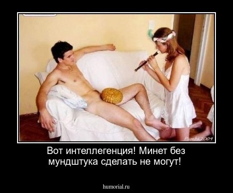 Вот интеллегенция! Минет без мундштука сделать не могут!
