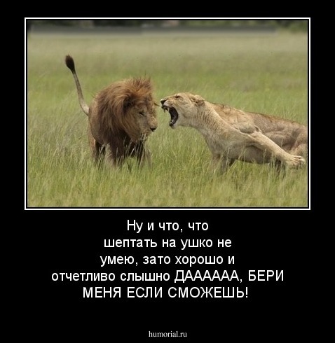 Ну и что, что шептать на ушко не умею, зато хорошо и отчетливо слышно ДАААААА, БЕРИ МЕНЯ ЕСЛИ СМОЖЕШЬ!