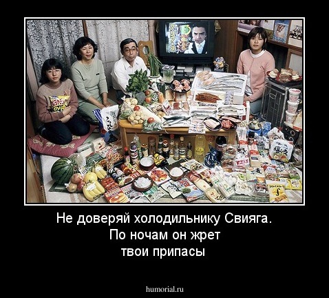Не доверяй холодильнику Свияга. По ночам он жрет твои припасы 