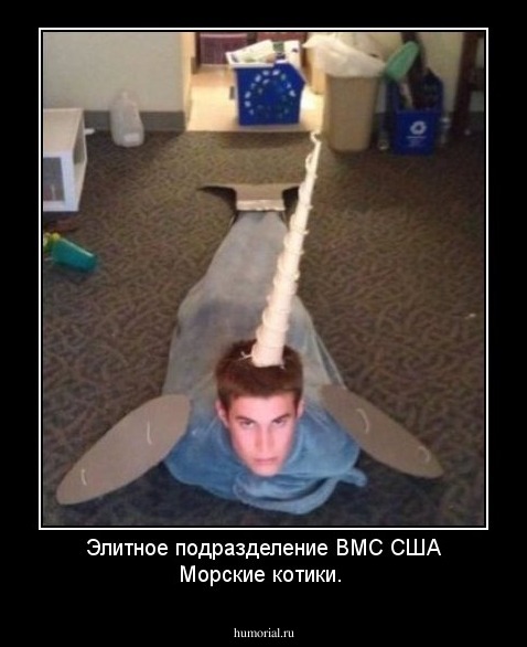 Элитное подразделение ВМС США Морские котики.