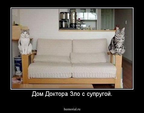 Дом Доктора Зло с супругой.