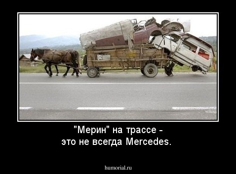 "Мерин" на трассе - это не всегда Mercedes.