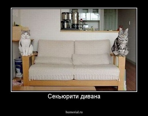 Секьюрити дивана