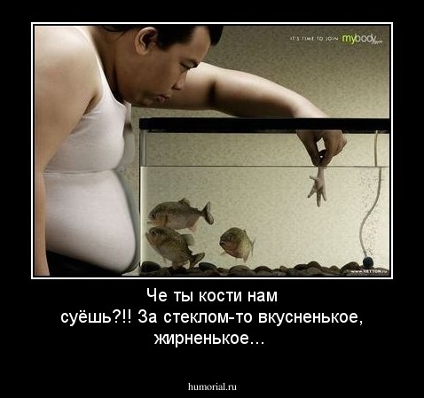 Че ты кости нам суёшь?!! За стеклом-то вкусненькое, жирненькое...