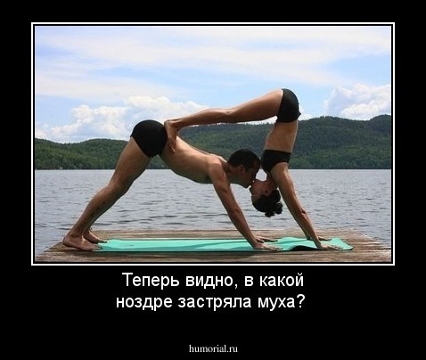 Теперь видно, в какой ноздре застряла муха? 