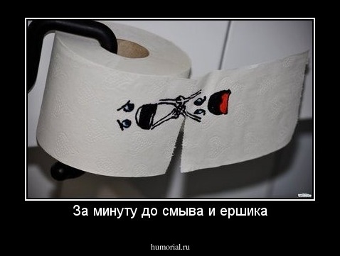За минуту до смыва и ершика