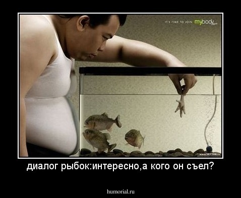 диалог рыбок:интересно,а кого он съел?
